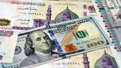 سعر الدولار اليوم في مصر الثلاثاء 27 أغسطس 2024.. تراجع طفيف