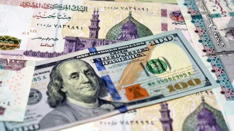 سعر الدولار اليوم في مصر الإثنين 5 أغسطس 2024.. «الأخضر» صوب 49 جنيهًا