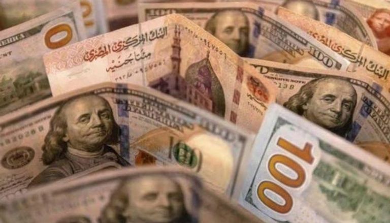 سعر الدولار اليوم في مصر السبت 14 ديسمبر 2024