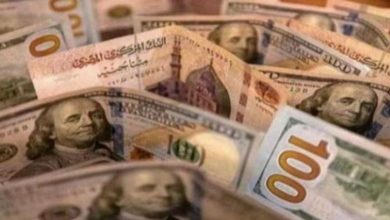 سعر الدولار اليوم في مصر