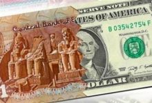 سعر الدولار اليوم في مصر